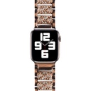 Apple Watch 40mm Uyumlu Wiwu Three Beads Set Auger Metal Kordon - 5