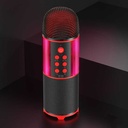 Soaiy MC12 Karaoke Mikrofon - 2