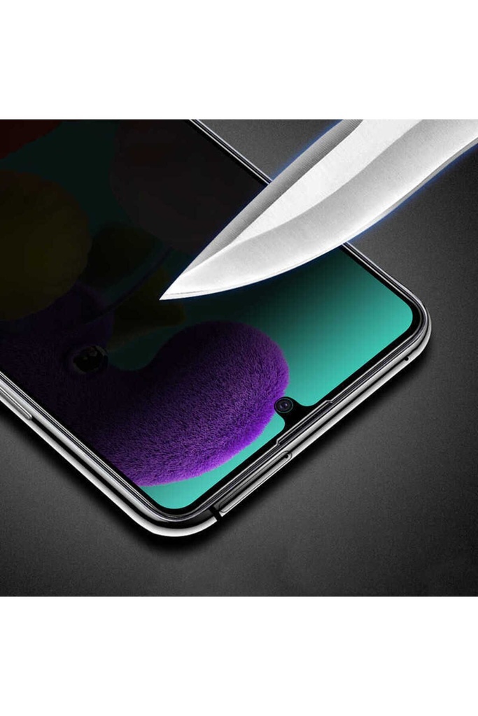 Samsung Galaxy S21 FE Uyumlu Zore New 5D Privacy Temperli Ekran Koruyucu
