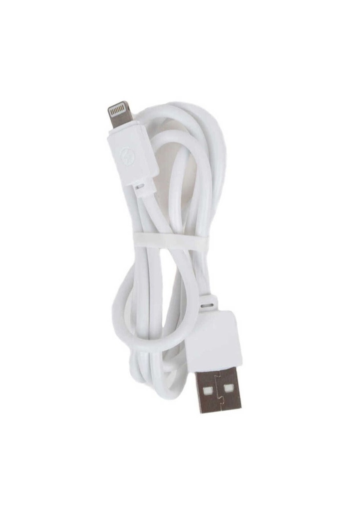 Zore Ofset Serisi ZCS-02 Lightning 2 in 1 Ev Şarj Seti 2.1A