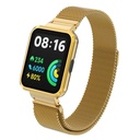 Xiaomi Redmi Watch 2 Lite Uyumlu Zore KRD-58 Metal Kordon - 2
