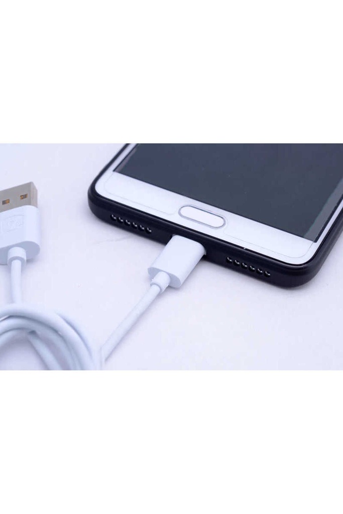 Zore Gold Type-C Usb Kablo Z-04