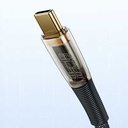 Benks D42 Şeffaf Görünümlü Type-C To PD Kablo 100W 2M - 3
