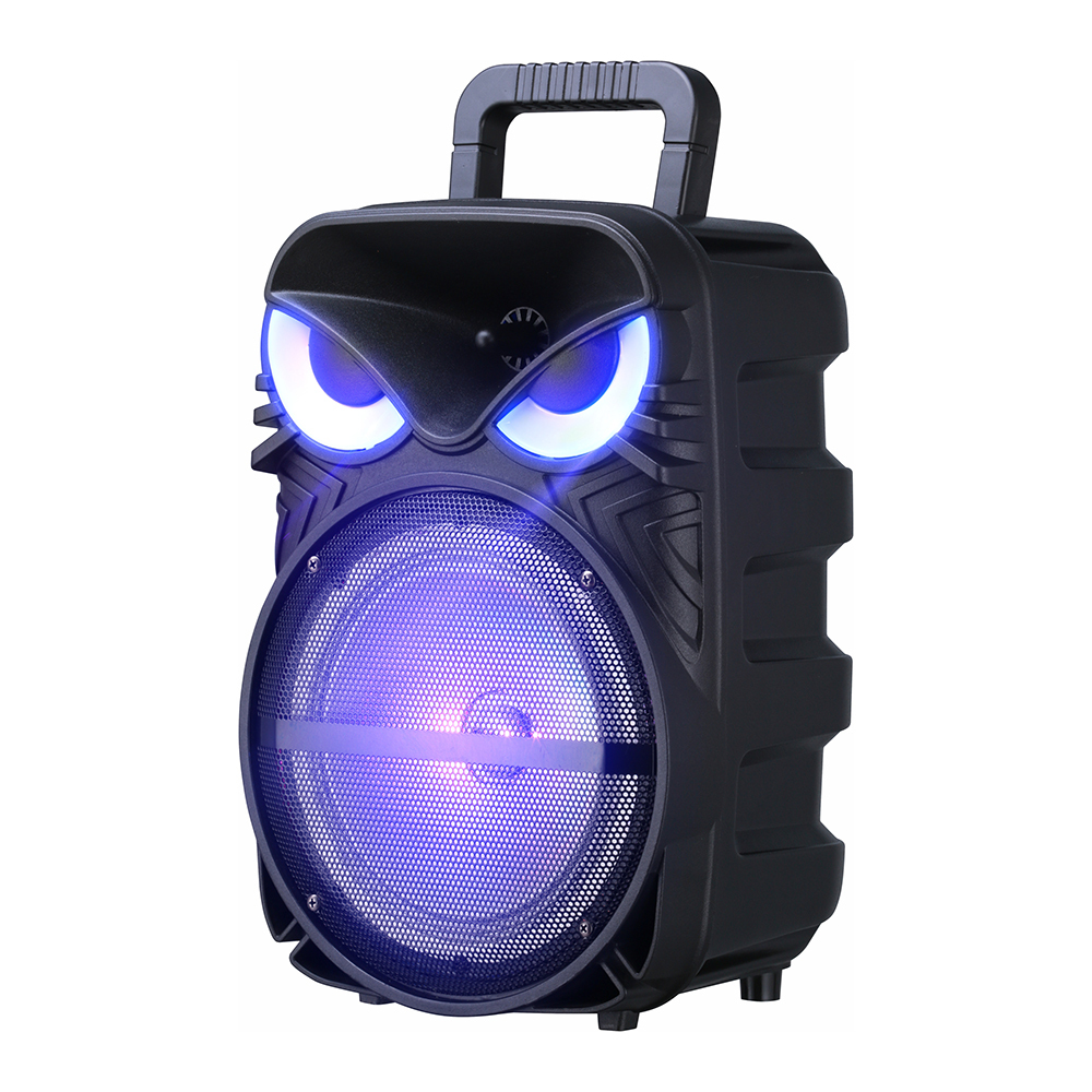 Zore PK-17 FM Radyolu Mikrofonlu RGB TWS 8 inç Stereo Bass Kablosuz Karaoke Hoparlör