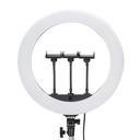 Jmary FM-18R Uzaktan Kumandalı 43cm Işıklı Telefon Tutucu Ring Light