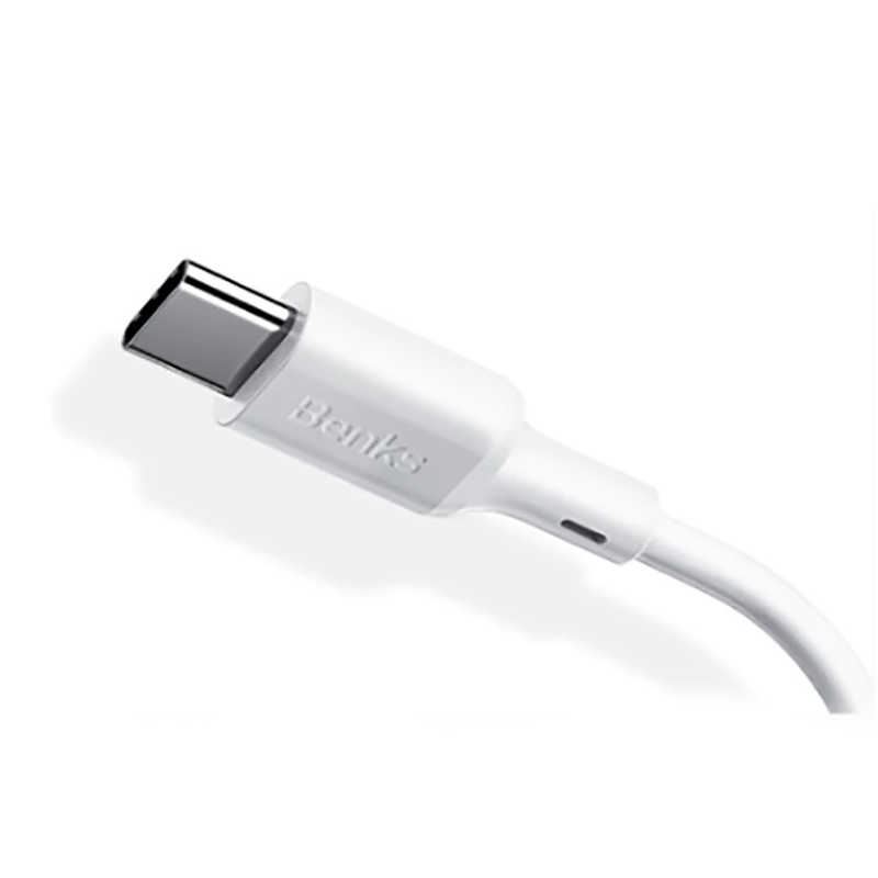 [RNZ-TA36634] Benks D35 Type-C Fast Charging Usb Kablo 0.25m
