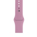 Apple Watch 42mm Uyumlu Zore Klasik Kordon