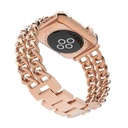 ​​​Apple Watch 38mm Uyumlu Cowboy Metal Kordon