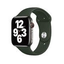 Apple Watch 38mm Uyumlu Wiwu Sport Band Silikon Kordon