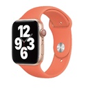 Apple Watch 40mm Uyumlu Wiwu Sport Band Silikon Kordon
