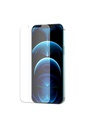 Apple iPhone 12 Pro Max Uyumlu Araree Subcore Temperli Ekran Koruyucu