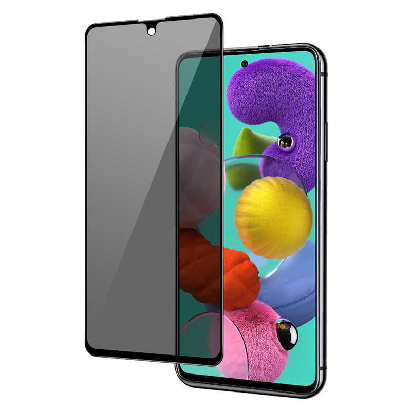 [RNZ-TA78479] Samsung Galaxy S21 Plus Uyumlu Hayalet Ekran Koruyucu Davin Privacy Seramik Ekran Filmi