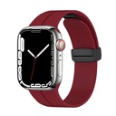 Apple Watch 7 41mm Uyumlu Kordon Silikon Metal Mıknatıslı Toka Zore KRD-84 Kayış