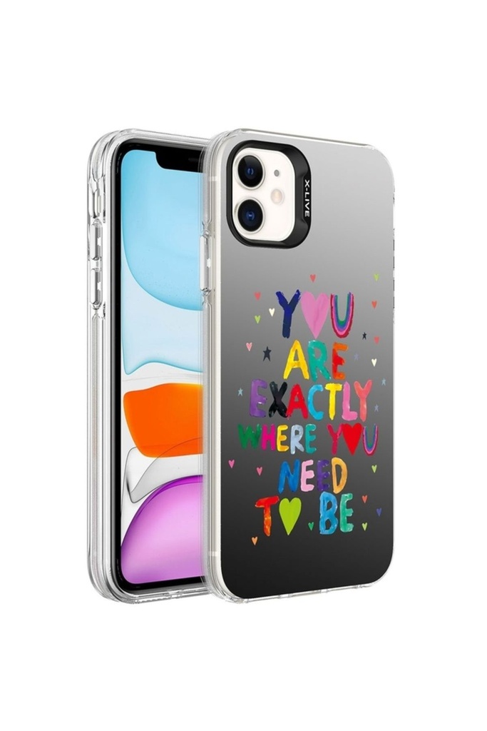 Apple iPhone 12 Uyumlu Kılıf Desenli Zore Silver Sert Kapak