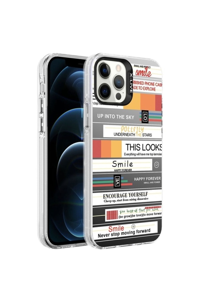 Apple iPhone 12 Pro Max Uyumlu Kılıf Desenli Zore Silver Sert Kapak
