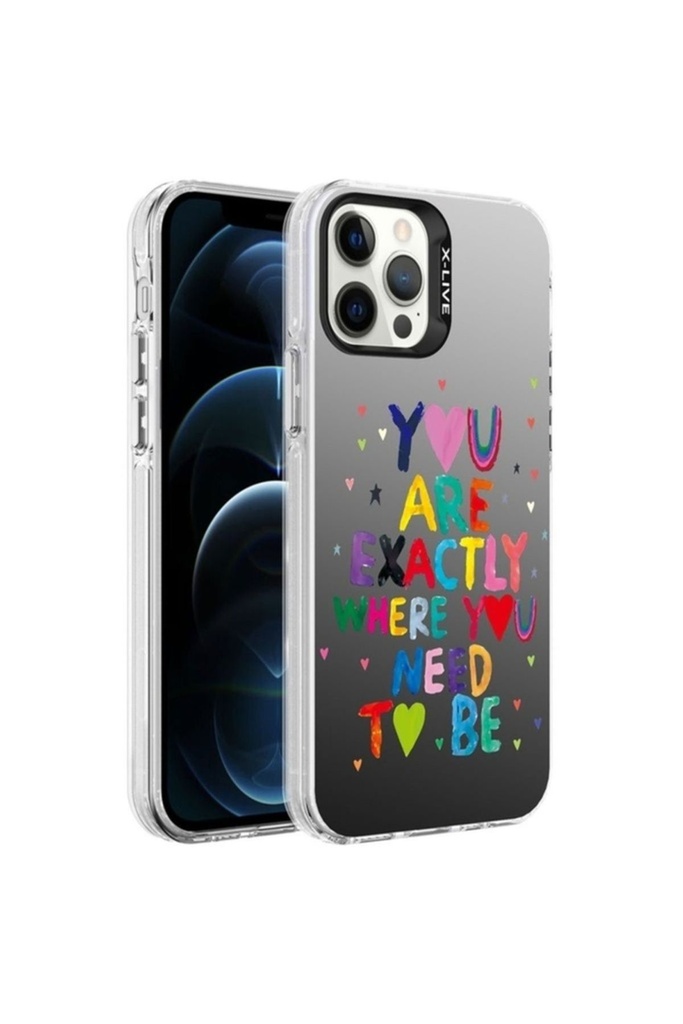 Apple iPhone 12 Pro Max Uyumlu Kılıf Desenli Zore Silver Sert Kapak