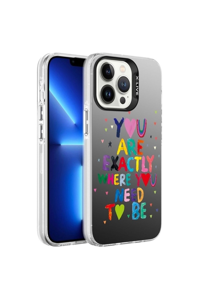 Apple iPhone 13 Pro Uyumlu Kılıf Desenli Zore Silver Sert Kapak