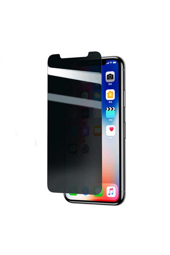 Apple iPhone XS Uyumlu ​​​​​​​​​​​​Zore Rika Premium Privacy Temperli Cam Ekran Koruyucu