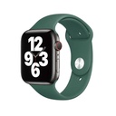 Apple Watch 42mm Uyumlu Wiwu Sport Band Silikon Kordon