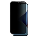 Samsung Galaxy S25 Uyumlu Amazingthing Radix Privacy Parmak İzi Bırakmayan Temperli Cam Ekran Koruyucu